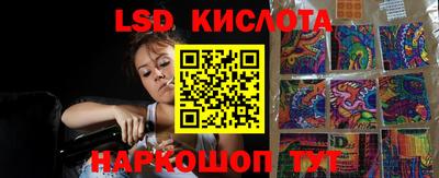 крисы Партизанск