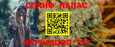 крисы Партизанск