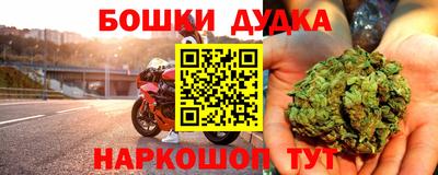 крисы Партизанск