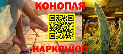 крисы Партизанск