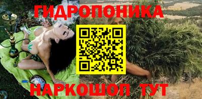 крисы Партизанск