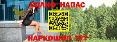 крисы Партизанск