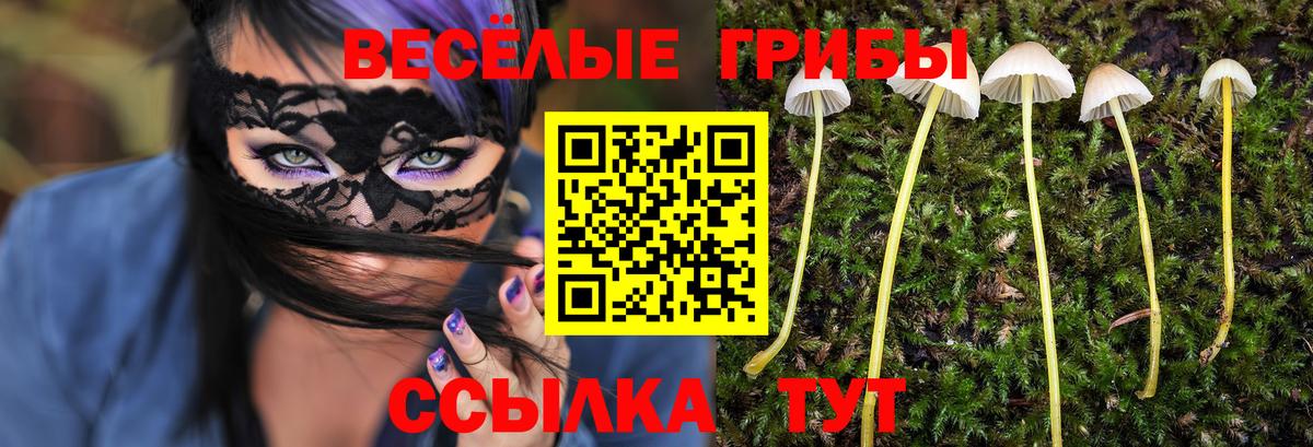 Галлюциногенные грибы GOLDEN TEACHER Уварово